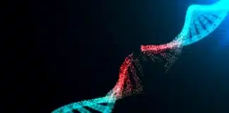 DNA hasarını onarabilen ilaç geliştirildi: TY1 ve doku onarımı nedir? DNA hasarını onarabilen ilaç TY1: Doku onarımı ve RNA molekülü teknolojisi ile geliştirilen yeni tedavi yöntemi.