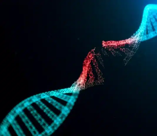 DNA hasarını onarabilen ilaç TY1: Doku onarımı ve RNA molekülü teknolojisi ile geliştirilen yeni tedavi yöntemi.
