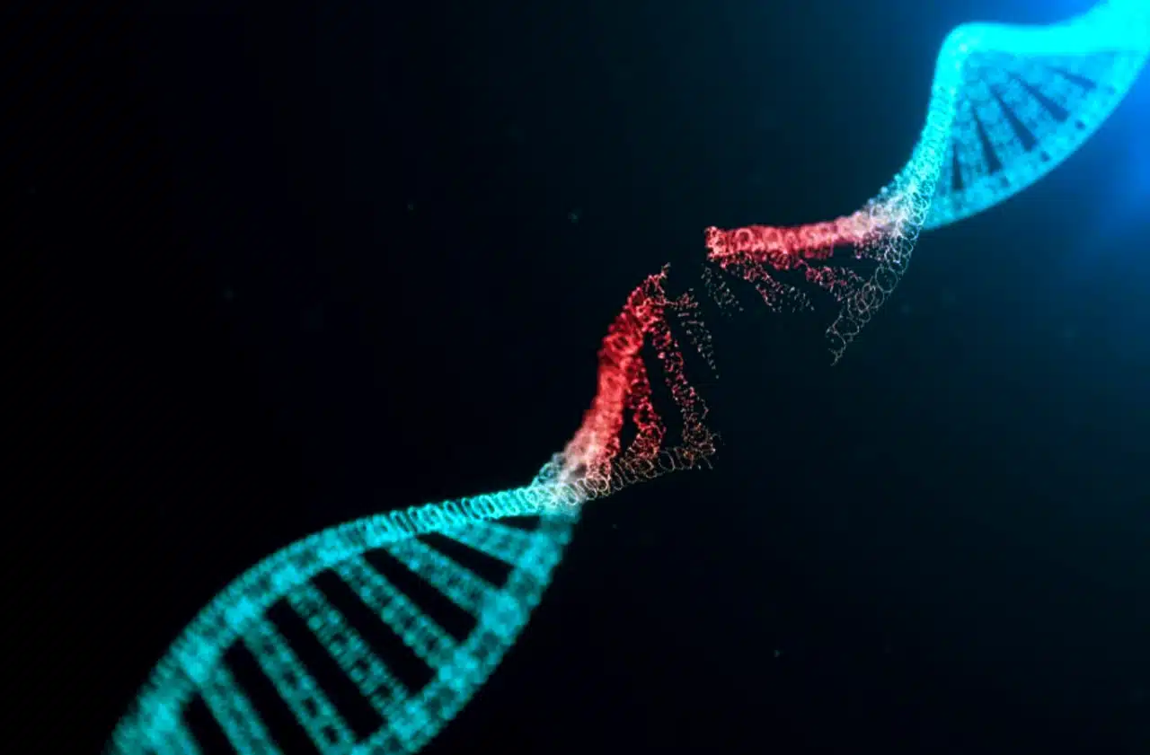 DNA hasarını onarabilen ilaç TY1: Doku onarımı ve RNA molekülü teknolojisi ile geliştirilen yeni tedavi yöntemi.
