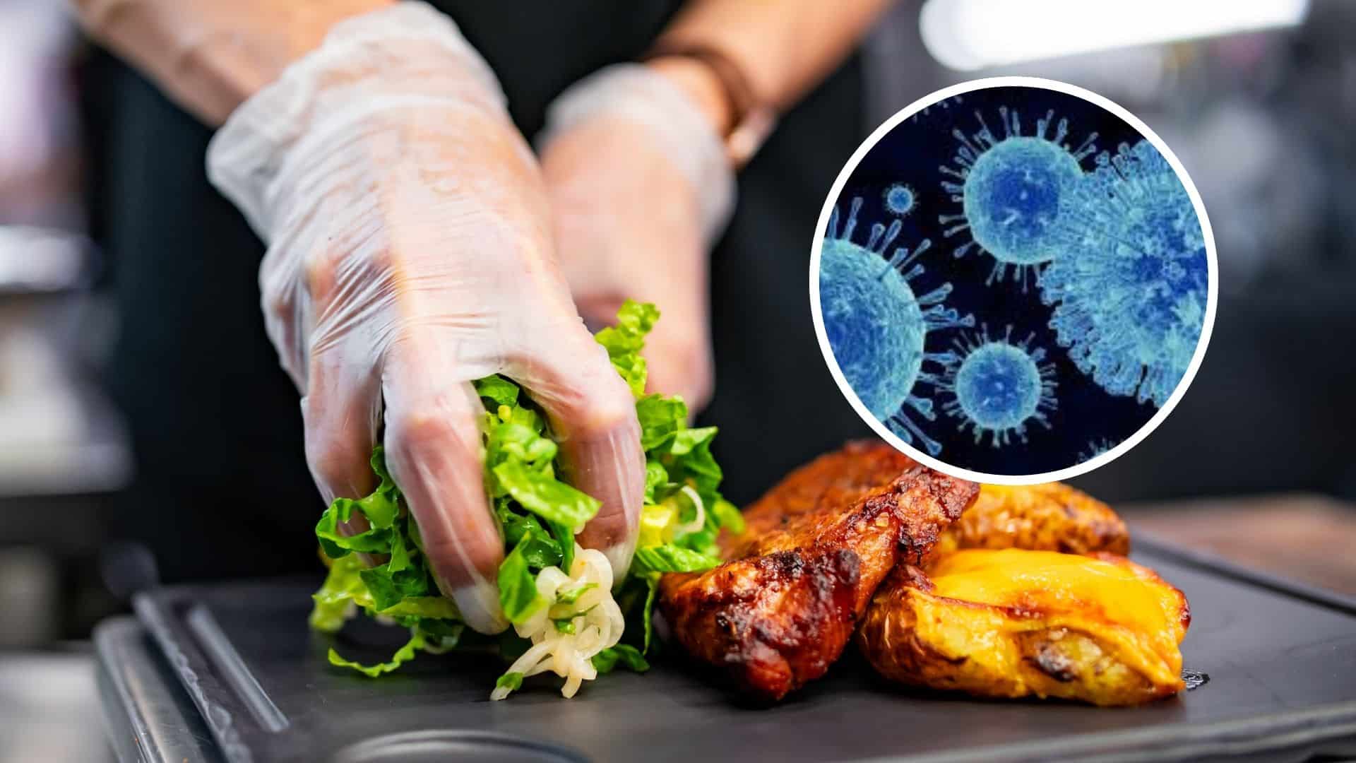 Toplu yemeklerden (Okul, yemek fabrikası, düğün gibi) kaynaklanan zehirlenmelerde en sık hangi hatalar görülüyor?