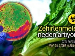 Gıda zehirlenmesi vakaları neden artıyor? (Röportaj: Prof. Dr. Özgür Karcıoğlu)