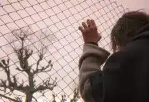 Balinanın Bilgisi: İnsanoğlunun unuttuğu doğası Balinanın Bilgisi filmi sahnesinde doğa temalı sinematografi