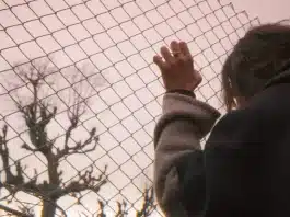 Balinanın Bilgisi: İnsanoğlunun unuttuğu doğası Balinanın Bilgisi filmi sahnesinde doğa temalı sinematografi