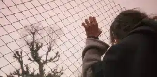 Balinanın Bilgisi: İnsanoğlunun unuttuğu doğası Balinanın Bilgisi filmi sahnesinde doğa temalı sinematografi