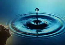 Depresyon krizlerini yönetmek için bilimsel yöntemler: Akut çöküş anlarında ne yapmalı? Akut depresyon belirtileri ve kriz yönetimi için uygulanan topraklama tekniklerini simgeleyen huzurlu bir doğa görseli