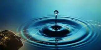 Akut depresyon belirtileri ve kriz yönetimi için uygulanan topraklama tekniklerini simgeleyen huzurlu bir doğa görseli