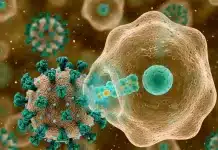 Yeni grip varyantı H3N2: Hızla yayılıyor ve mutasyona uğruyor Mikroskop altında İnfluenza A virüsü (H3N2 alt tipi) yapısı ve mutasyona uğramış protein çıkıntıları.