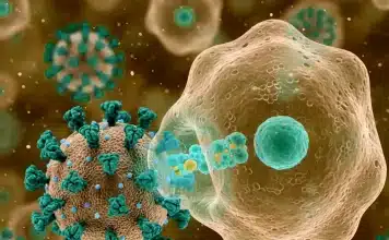 Yeni grip varyantı H3N2: Hızla yayılıyor ve mutasyona uğruyor Mikroskop altında İnfluenza A virüsü (H3N2 alt tipi) yapısı ve mutasyona uğramış protein çıkıntıları.