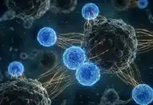 NK hücrelerinin kanser hücrelerine saldırısını gösteren tıbbi illüstrasyon ve hücresel terapi şeması