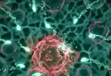 Kanserle mücadelede yeni keşif: pankreas tümörlerini durduran üçlü kombinasyon pankreas tümörlerini durduran üçlü kombinasyon tedavisi ve KRAS onkogeni moleküler yolakları grafiği