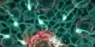 Kanserle mücadelede yeni keşif: pankreas tümörlerini durduran üçlü kombinasyon pankreas tümörlerini durduran üçlü kombinasyon tedavisi ve KRAS onkogeni moleküler yolakları grafiği