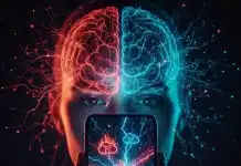 Rage bait nedir? Sosyal medyadaki öfke tuzağı prefrontal korteksi nasıl etkiliyor? Beynin prefrontal korteks ve limbik sistem arasındaki etkileşimini rage bait bağlamında gösteren illüstrasyon