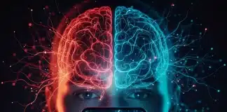 Rage bait nedir? Sosyal medyadaki öfke tuzağı prefrontal korteksi nasıl etkiliyor? Beynin prefrontal korteks ve limbik sistem arasındaki etkileşimini rage bait bağlamında gösteren illüstrasyon