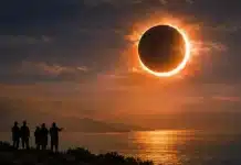 Haftalık Burç Yorumları (16–22 Şubat 2026): Kova Güneş Tutulması ve Sistem Reset Haftalık burç yorumları 16–22 Şubat 2026 — Kova Güneş Tutulması temalı kapak görseli