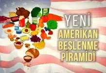 Yeni Amerikan Beslenme Piramidi nedir? Radikal değişiklikler! Amerikan Beslenme Piramidi kapsamında değişen gıda gruplarının genel görünümü