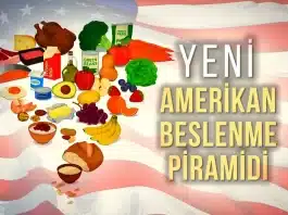 Amerikan Beslenme Piramidi kapsamında değişen gıda gruplarının genel görünümü