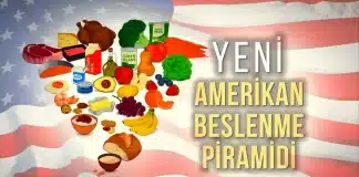 Amerikan Beslenme Piramidi kapsamında değişen gıda gruplarının genel görünümü
