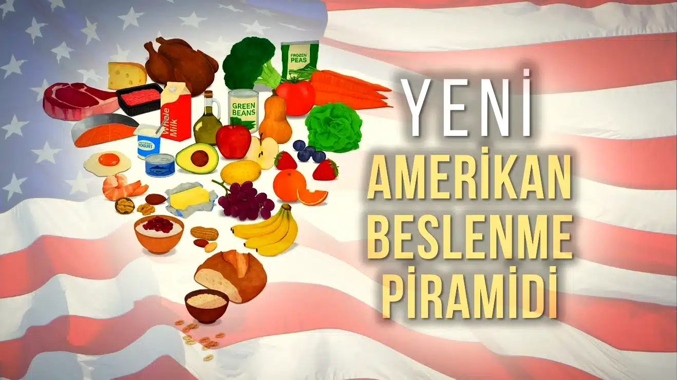 Amerikan Beslenme Piramidi kapsamında değişen gıda gruplarının genel görünümü
