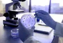 antibiyotik direnci gelişen bakterilerin mikroskobik görünümü