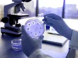 Sessiz pandemi tehlikesi: Antibiyotik direnci neden artıyor? antibiyotik direnci gelişen bakterilerin mikroskobik görünümü