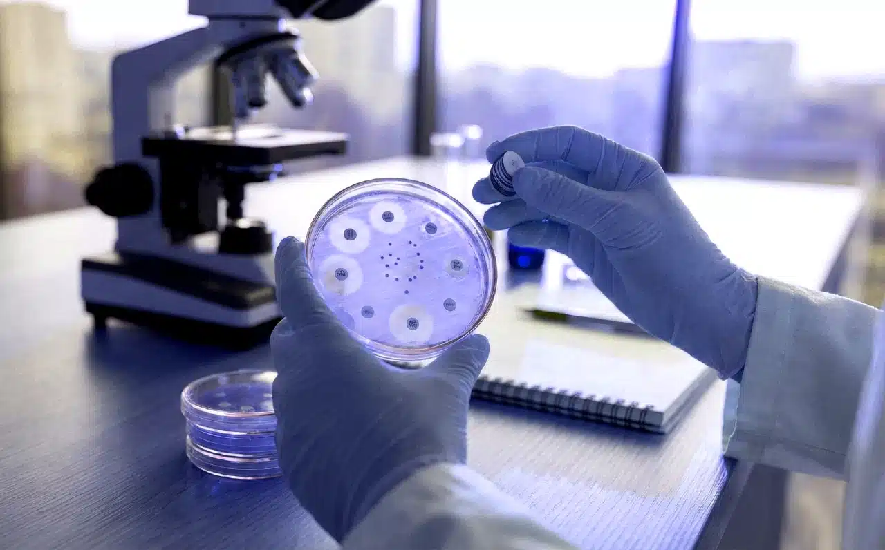 antibiyotik direnci gelişen bakterilerin mikroskobik görünümü