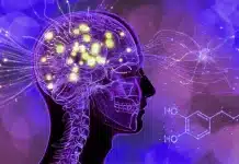 Dijital dopamin ve DEHB semptomları arasındaki ilişki Dijital dopamin ve DEHB ilişkisini gösteren insan beyni ödül yolu