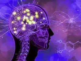 Dijital dopamin ve DEHB ilişkisini gösteren insan beyni ödül yolu