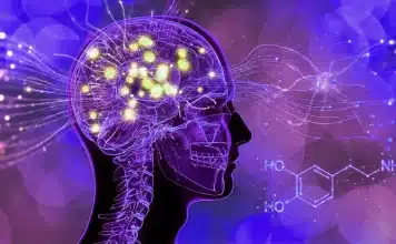 Dijital dopamin ve DEHB semptomları arasındaki ilişki Dijital dopamin ve DEHB ilişkisini gösteren insan beyni ödül yolu