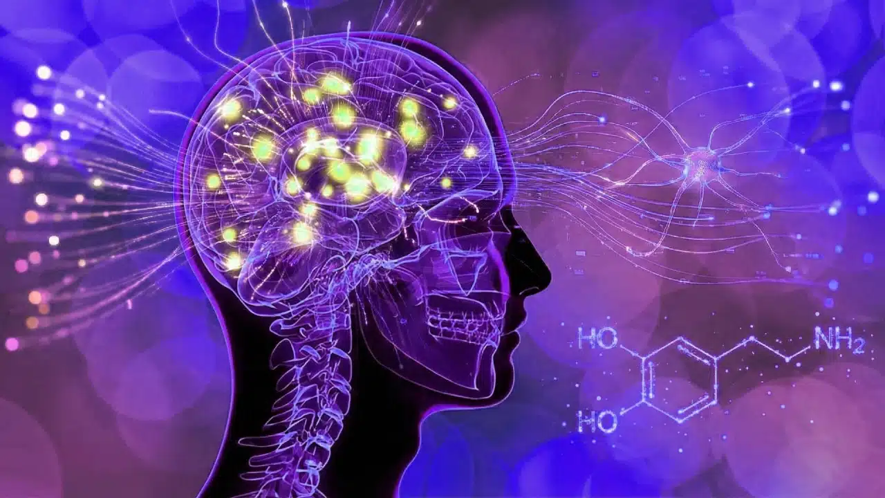 Dijital dopamin ve DEHB ilişkisini gösteren insan beyni ödül yolu
