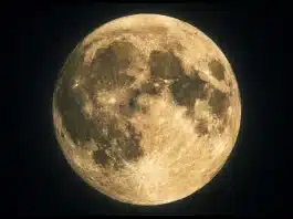 Haftalık Burç Yorumları (2 – 8 Şubat 2026): Zihinsel Dönüşüm ve Stratejik Yenilenme 2 – 8 Şubat 2026 haftalık burç yorumları Aslan Dolunayı ve genel astroloji etkileri