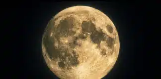 Haftalık Burç Yorumları (2 – 8 Şubat 2026): Zihinsel Dönüşüm ve Stratejik Yenilenme 2 – 8 Şubat 2026 haftalık burç yorumları Aslan Dolunayı ve genel astroloji etkileri