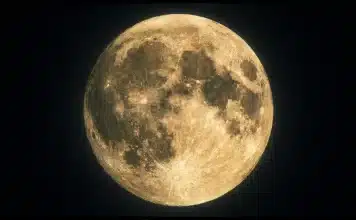 Haftalık Burç Yorumları (2 – 8 Şubat 2026): Zihinsel Dönüşüm ve Stratejik Yenilenme 2 – 8 Şubat 2026 haftalık burç yorumları Aslan Dolunayı ve genel astroloji etkileri