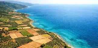 Hisseli arsa satın alırken dikkat edilmesi gereken kurallar rehberi