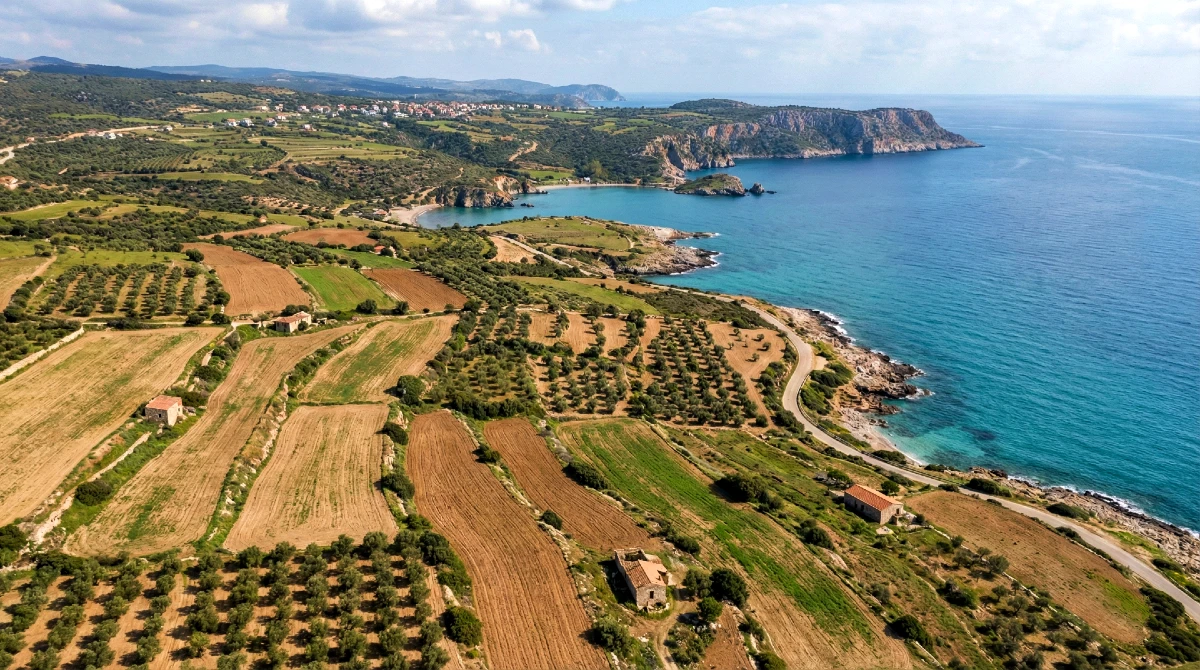 hisseli arsa tapusu satın aldıktan sonra İzale-i şuyu (ortaklığın giderilmesi) davası
