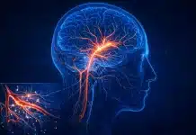 Unutkanlığın gizli sebebi yaşlılık değil damar sağlığı olabilir damar sağlığı unutkanlığın gizli sebebi yaşlılık değil damar sağlığı olabilir