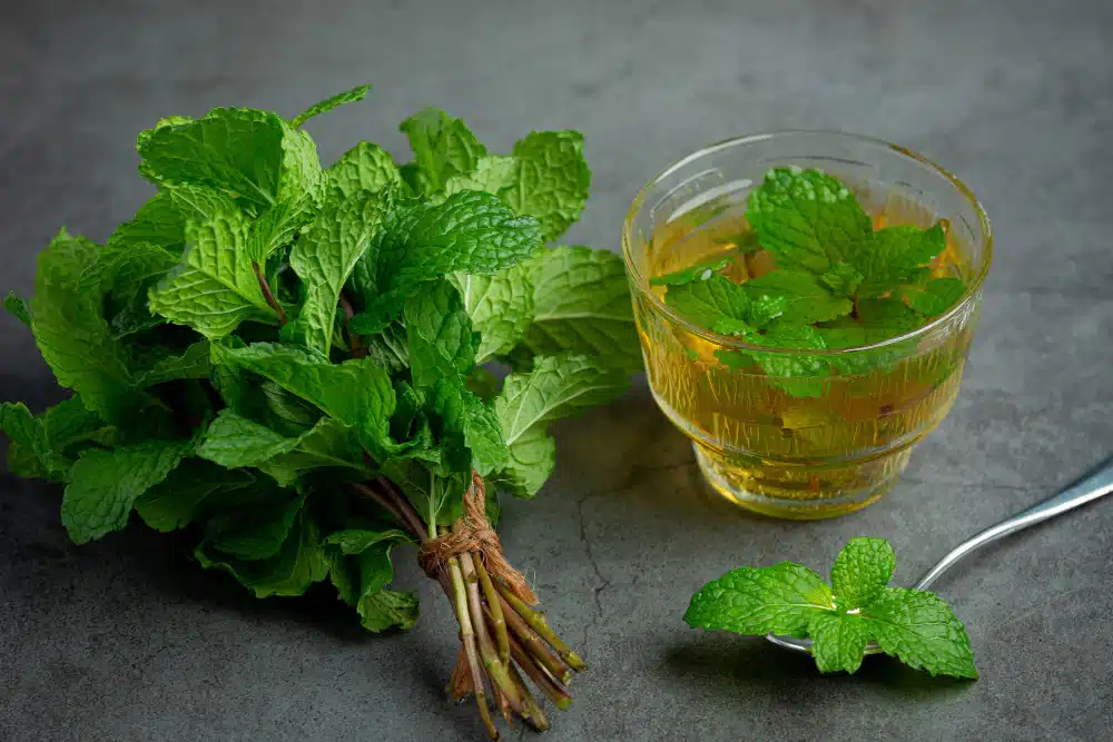 hormonal akne tedavisi ve kıvırcık nane çayı faydaları