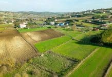Yatırımlık tarla alımında kazandıran 3 stratejik adım yatırımlık tarla
