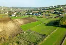 Yatırımlık tarla alımında kazandıran 3 stratejik adım yatırımlık tarla