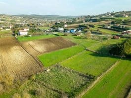 Yatırımlık tarla alımında kazandıran 3 stratejik adım yatırımlık tarla
