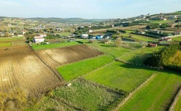 Yatırımlık tarla alımında kazandıran 3 stratejik adım yatırımlık tarla