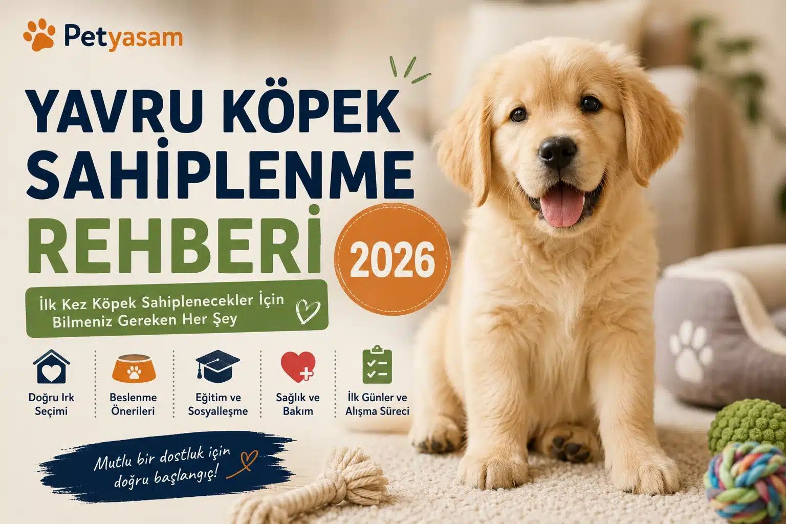 Yavru köpek sahiplenme sürecinde fiziksel ve psikolojik hazırlık adımlarını gösteren detaylı bakım rehberi.