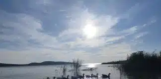 İki Göl Arasında: Toprağın ve İnsanların Bereketi İki göl arasında insan hikayeleri ve zanaat mirasıyla şekillenen göl kıyılarının kadim kültürel dokusu.