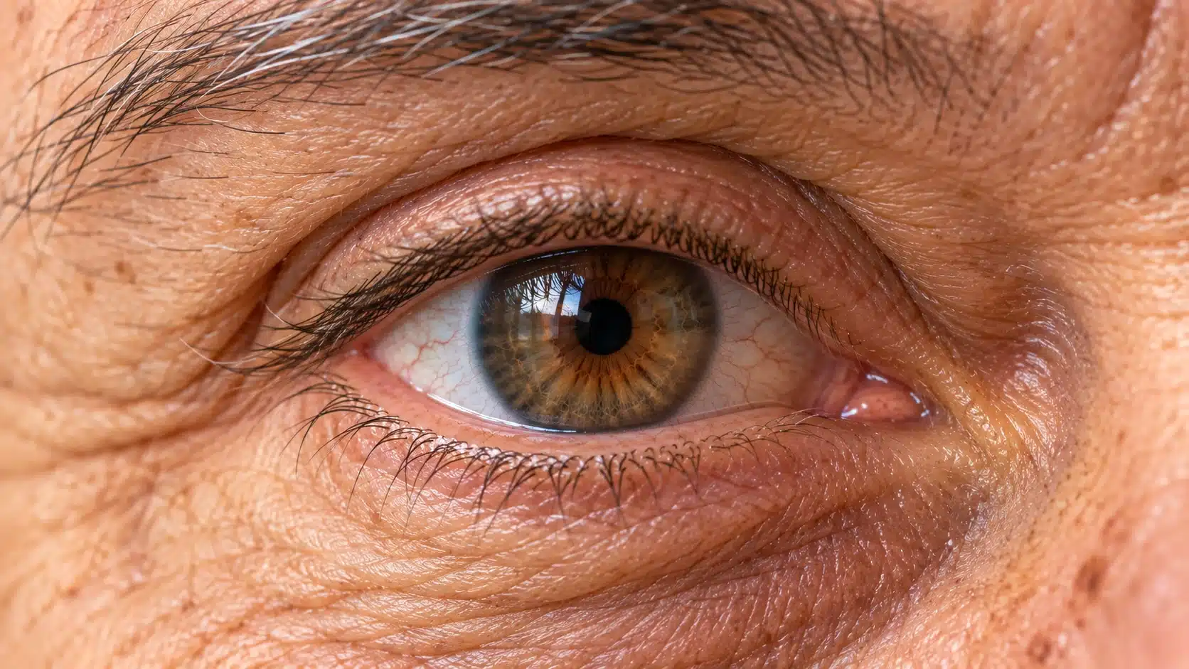 Sarı nokta hastalığı retina muayenesi ve merkezi görme analizi