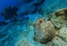 Dünyanın en eski batığı Kekova’da: 4.700 yıllık amforalar deniz ticaretine ışık tutuyor Dünyanın en eski batığı Kekova'da: Deniz tabanındaki 4.700 yıllık amfora
