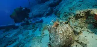 Dünyanın en eski batığı Kekova’da: 4.700 yıllık amforalar deniz ticaretine ışık tutuyor Dünyanın en eski batığı Kekova'da: Deniz tabanındaki 4.700 yıllık amfora