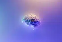 Beyin çipi ne işe yarar? Neuralink nedir? Beyin çipi teknolojisini anlatan renkli insan beyni modeli