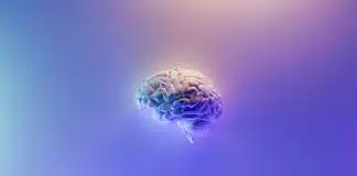 Beyin çipi ne işe yarar? Neuralink nedir? Beyin çipi teknolojisini anlatan renkli insan beyni modeli