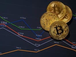 kripto para borsaları