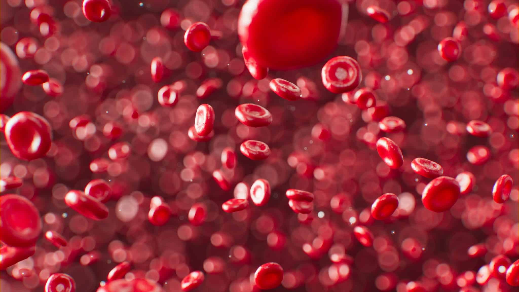 LDL kolesterol taşıyan kan dolaşımındaki kırmızı kan hücreleri