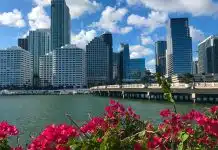 Miami’de konut yatırımı: Belirleyici olan brüt kira değil, net getiri Miami'de konut yatırımı yapılan şehir merkezindeki gökdelenlerin sahilden görünümü